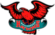 illawarra-hawks-1990